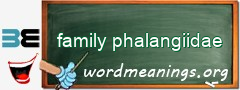 WordMeaning blackboard for family phalangiidae